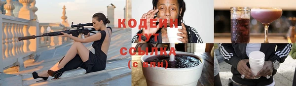 молекула духа Туринск