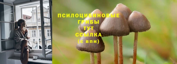мдпв Нефтегорск